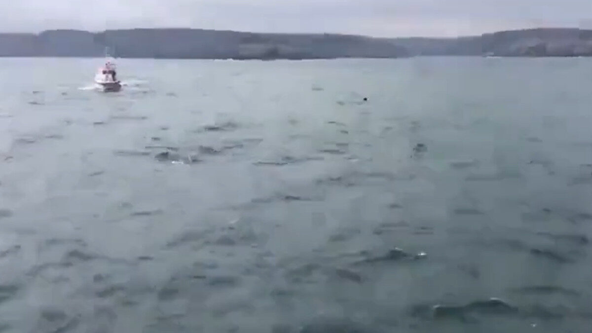 αντικείμενο που μοιάζει με νάρκη στα ανοιχτά της Μαύρης Θάλασσας