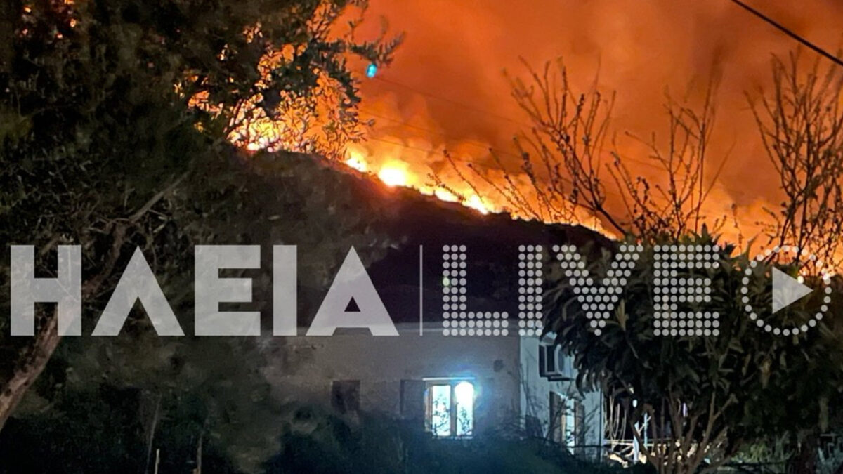 Φωτιά στην περιοχή Λιβαδάκι της Ηλείας - Φωτό από ilialive.gr