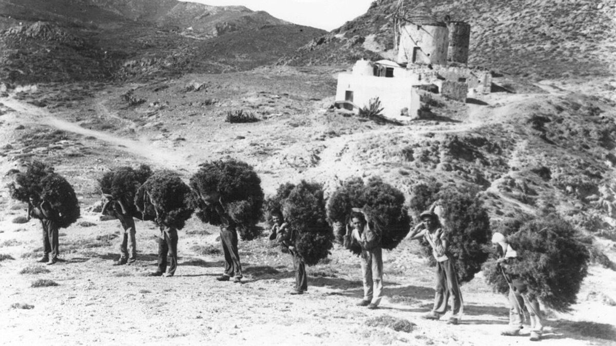 Εξόριστοι στην Ανάφη κουβαλάνε αστιβιές