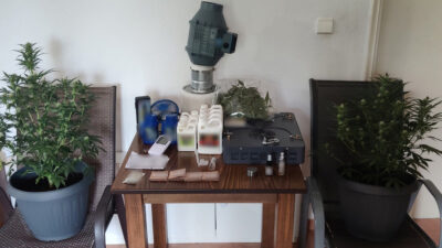 Υπηρεσία Εσωτερικών Υποθέσεων: Συνελήφθη λιμενικός με εργαστήριο υδροπονικής καλλιέργειας κάνναβης - Μάης 2022