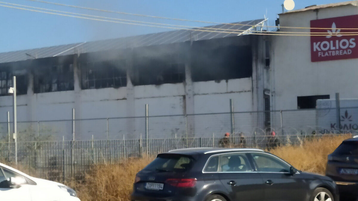 Πυρκαγιά σε βιομηχανικό χώρο, επί της οδού Γ. Γεννηματά στην Μαγούλα Αττικής - 20/06/2022