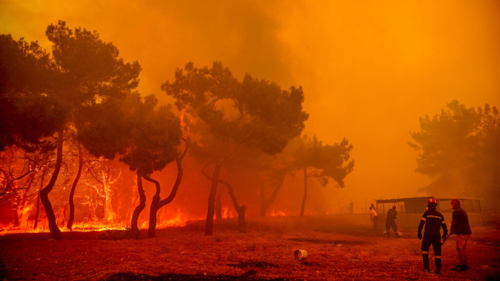 Πυρκαγιά στη Λέσβο, στην περιοχή Ρογκάδα των Βατερών . Σάββατο 23 Ιουλίου 2022  (ΠΑΝΑΓΙΩΤΗΣ ΜΠΑΛΑΣΚΑΣ/EUROKINISSI)