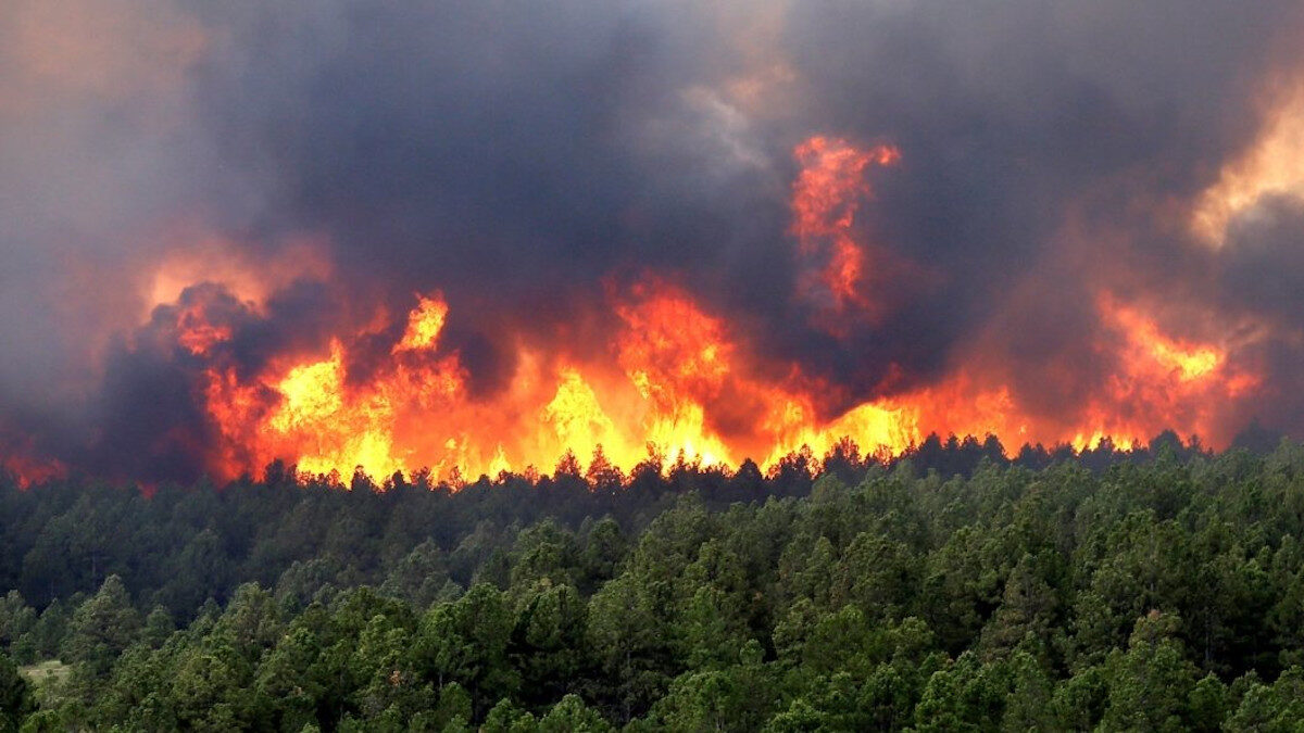 Πυρκαγιά στην Αλβανία