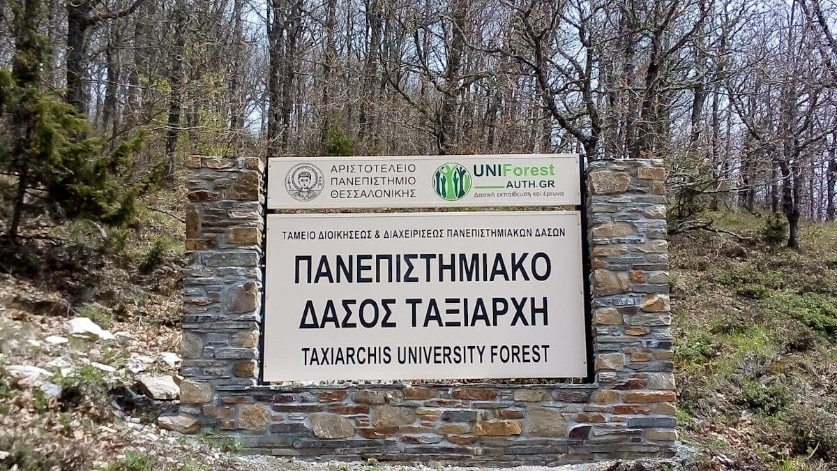 Πανεπιστημιακό Δάσος Ταξιάρχη