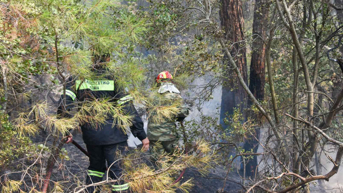 ΣΥΜΒΟΛΗ ΤΩΝ ΕΝΟΠΛΩΝ ΔΥΝΑΜΕΩΝ ΣΤΗ ΠΥΡΚΑΓΙΑ ΣΤΗ ΔΑΔΙΑ ΣΟΥΦΛΙΟΥ ΕΒΡΟΥ. Παρασκευή 22 Ιουλίου 2022 (ΓΡ. ΤΥΠΟΥ ΓΕΕΘΑ/EUROKINISSI)