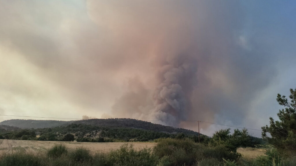 Πυρκαγιά στον Εθνικό Δρυμό της Δαδιάς Έβρου - 24/07/2022
