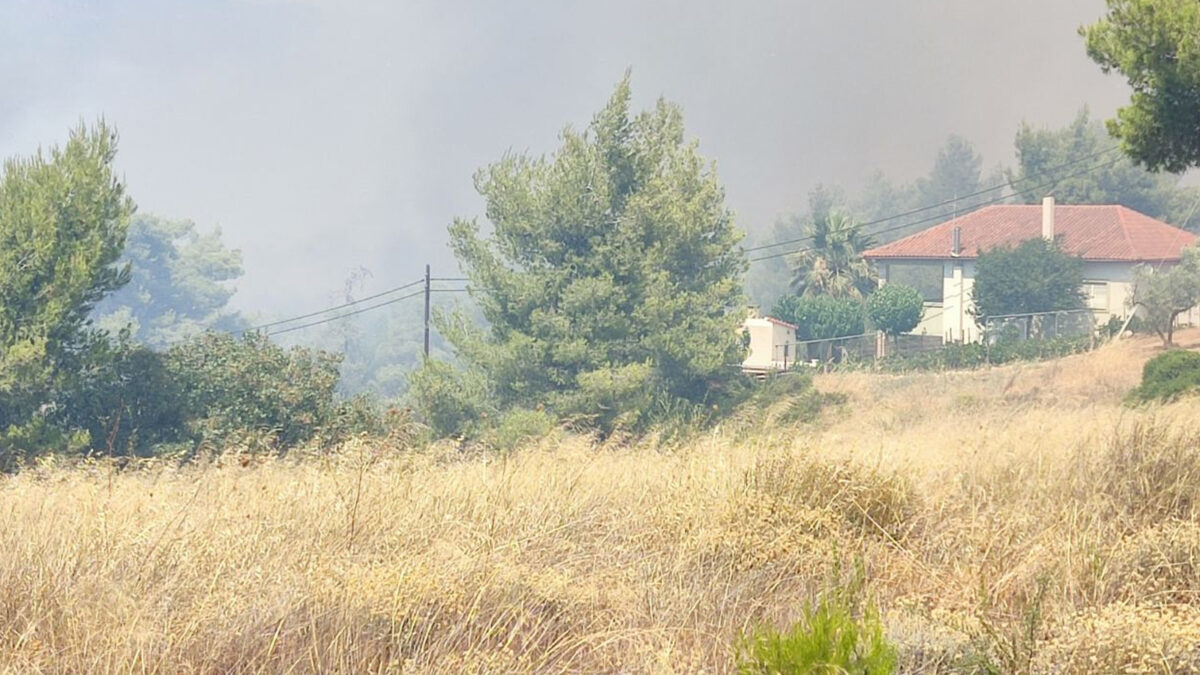 Πυρκαγιά στα Μέγαρα