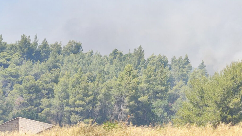 Πυρκαγιά στα Μέγαρα