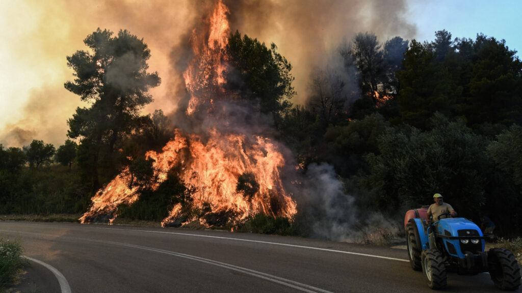 Σε εξέλιξη μεγάλη πυρκαγιά στα Κρέστενα στην Ηλεία, εκκενώνεται o οικισμός Σκυλλουντία, Κυριακή 24 Ιουλίου 2022