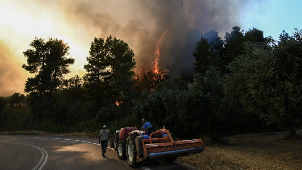Σε εξέλιξη μεγάλη πυρκαγιά στα Κρέστενα στην Ηλεία, εκκενώνεται o οικισμός Σκυλλουντία, Κυριακή 24 Ιουλίου 2022