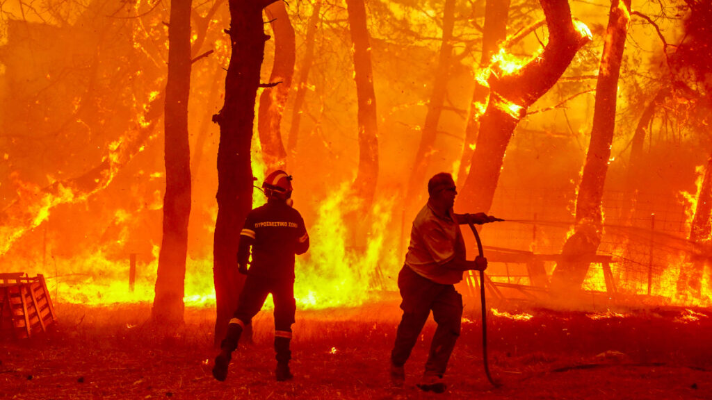 Πυρκαγιά στη Λέσβο, στην περιοχή Ρογκάδα των Βατερών . Σάββατο 23 Ιουλίου 2022 (ΠΑΝΑΓΙΩΤΗΣ ΜΠΑΛΑΣΚΑΣ/EUROKINISSI)