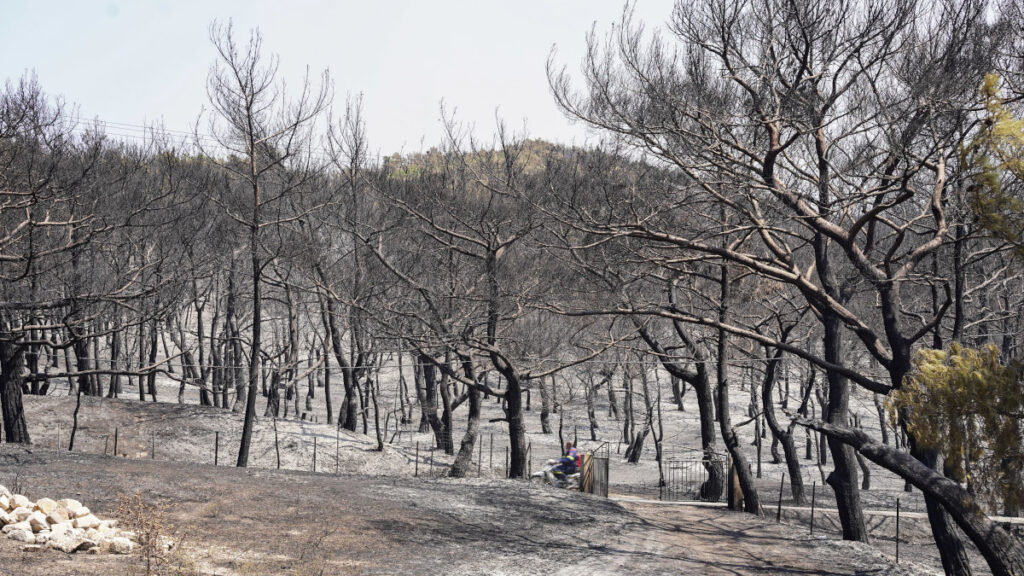 Καταστροφές από την πυρκαγιά στα Βατερά της Λέσβου, Κυριακή 24 Ιουλίου 2022