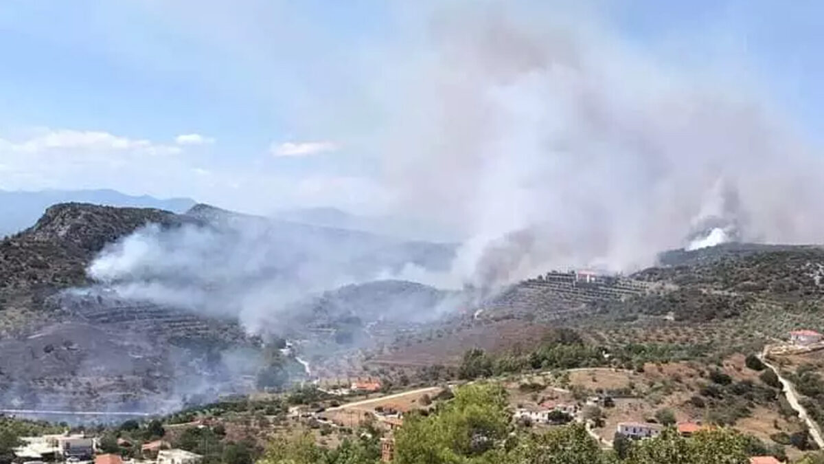 Φωτιά στην Αργολίδα