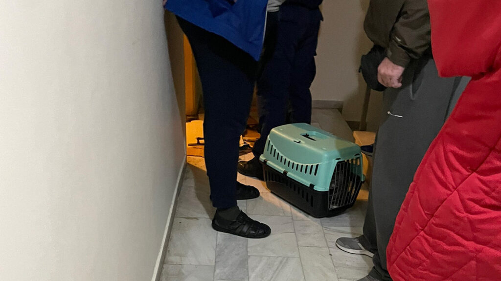 Έσπασαν την πόρτα και πέταξαν έξω τη χαμηλοσυνταξιούχο από το σπίτι που διέμενε στου Ζωγράφου καθώς σε πλειστηριασμό το διαμέρισμα από την τράπεζα δόθηκε σε εταιρεία / 21-11-2022