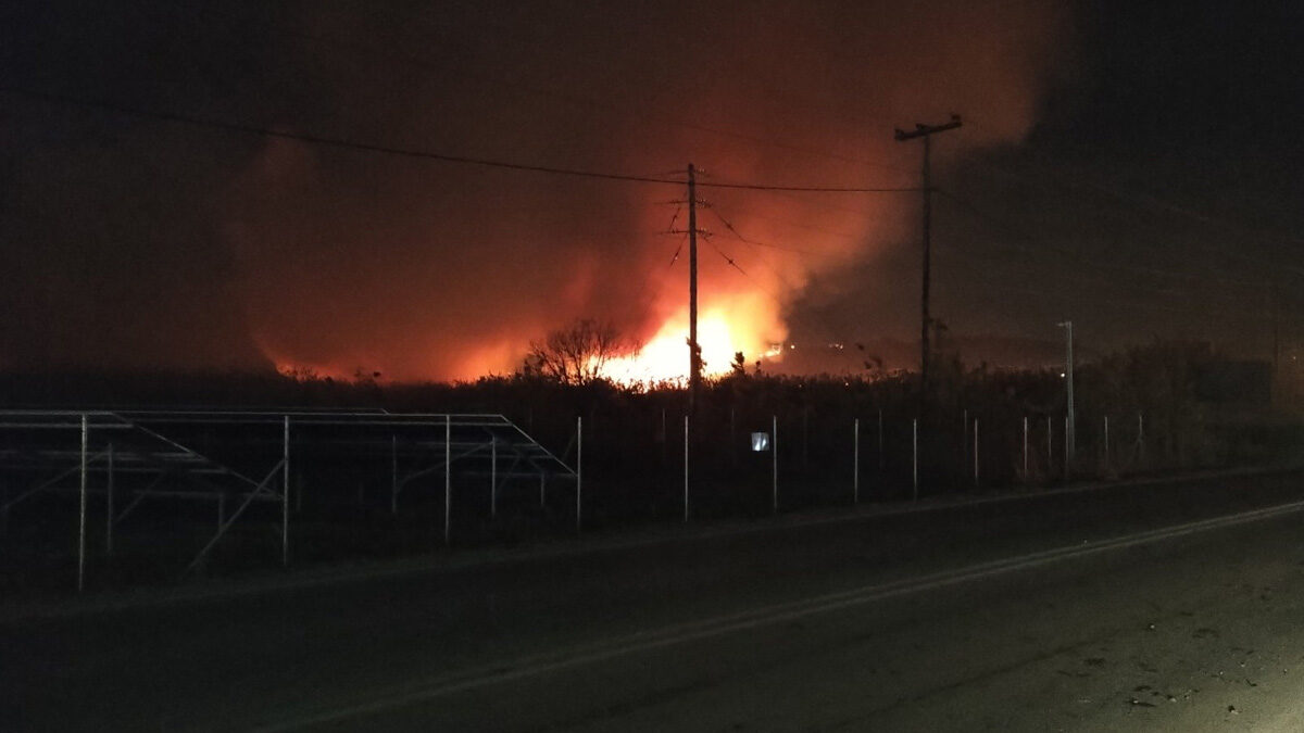 Εύβοια: Ανεξέλεγκτη μαίνεται η φωτιά στα Ψαχνά η οποία καταστρέφει την περιοχή του υδροβιότοπου Κολοβρέχτη - 09/01/2022