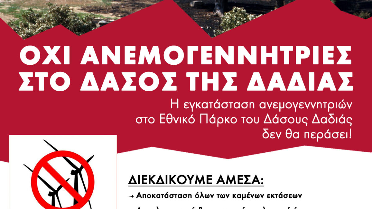 Κινητοποίηση για το δάσος της Δαδιάς