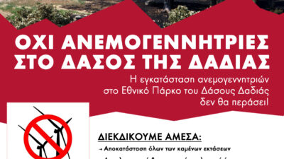 Κινητοποίηση για το δάσος της Δαδιάς