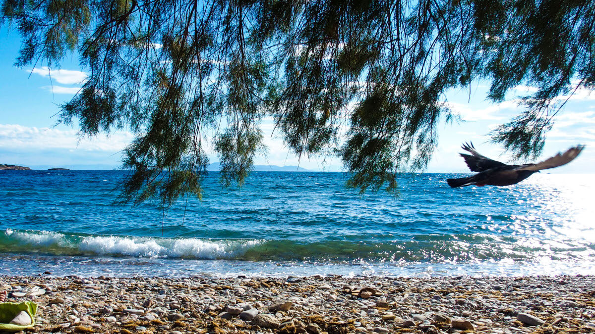 Ακρογιαλιά - καιρός - αραιές νεφώσεις - θάλασσα