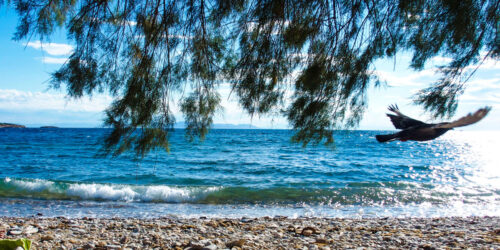 Ακρογιαλιά - καιρός - αραιές νεφώσεις - θάλασσα