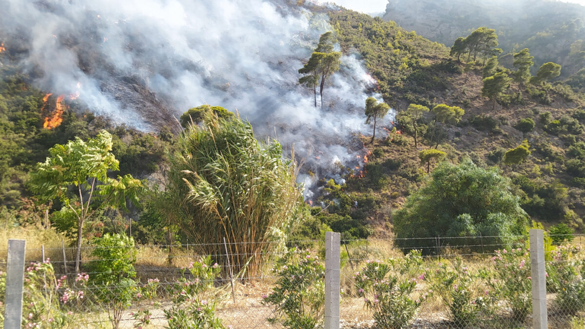 Πυρκαγιά στο Δερβενάκι Αχαΐας