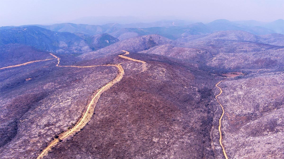 Πυρκαγιές - Αύγουστος 2023 - Δαδιά