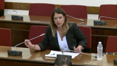 Βουλή, Δάγκα Βιβή ΚΚΕ