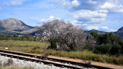 Ανθισμένη αμυγδαλιά - γραμμές τρένου - Καιρός: Λίγες νεφώσεις - Η θερμοκρασία θα σημειώσει μικρή άνοδο