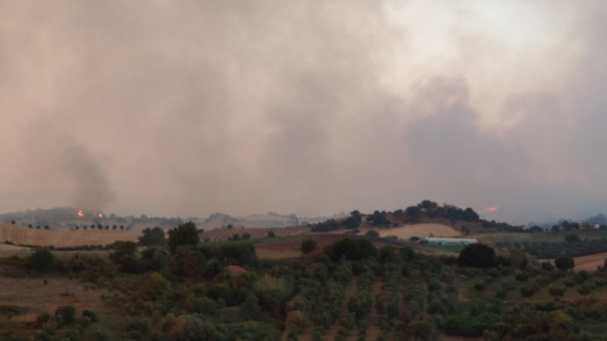 Ηλεία, πυρκαγιά στην Πηνεία