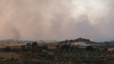 Ηλεία, πυρκαγιά στην Πηνεία