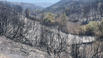 Η καμμένη έκταση γης από την πυρκαγιά στην Πηνεία Ηλείας