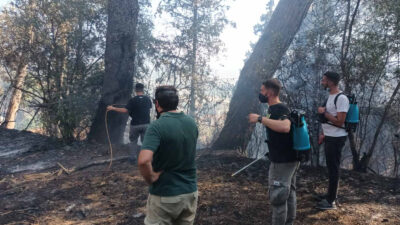 Απ' την πυρκαγιά στην Πάτρα