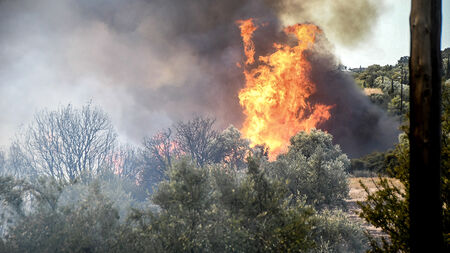 Μεγάλη φωτιά στην Αχαΐα