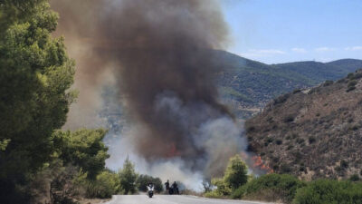 Φωτιά Πυρκαγιά Σαλαμίνα Πυροσβεστικη